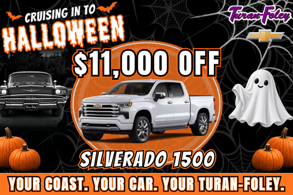 Banner 29